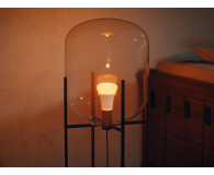 Philips Hue Inteligentna żarówka White Color Ambiance A67 E27 - 1600lm - 1490240 - zdjęcie 6